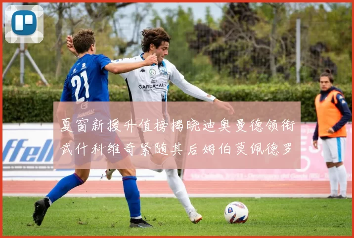 夏窗新援升值榜揭晓迪奥曼德领衔武什科维奇紧随其后姆伯莫佩德罗表现抢眼