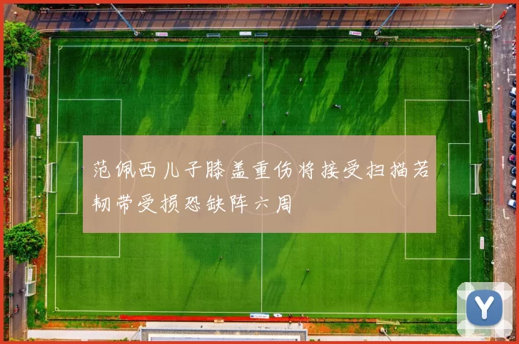 范佩西儿子膝盖重伤将接受扫描若韧带受损恐缺阵六周