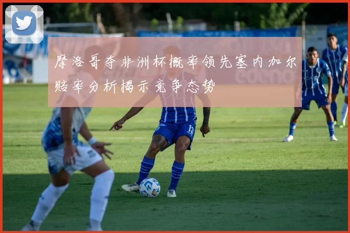摩洛哥夺非洲杯概率领先塞内加尔赔率分析揭示竞争态势